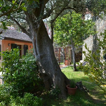 Ca Da Munta Bed And Breakfast Arenzano Εξωτερικό φωτογραφία