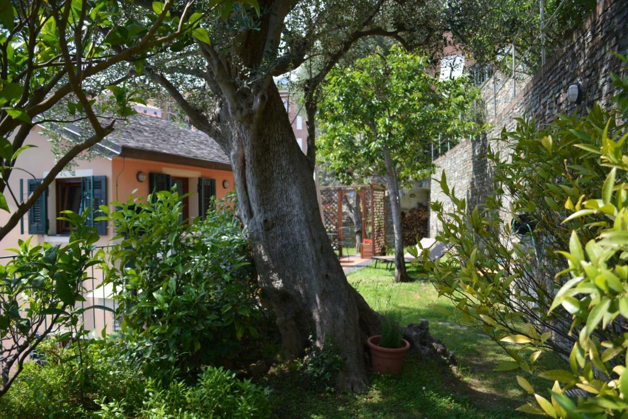 Ca Da Munta Bed And Breakfast Arenzano Εξωτερικό φωτογραφία